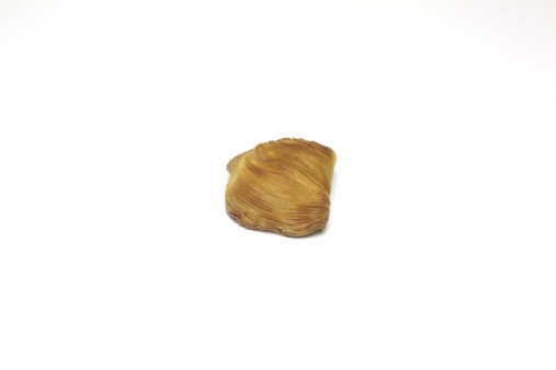 Sfogliatella clásica